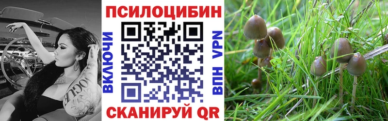 мега как зайти  Челябинск  Галлюциногенные грибы Magic Shrooms 